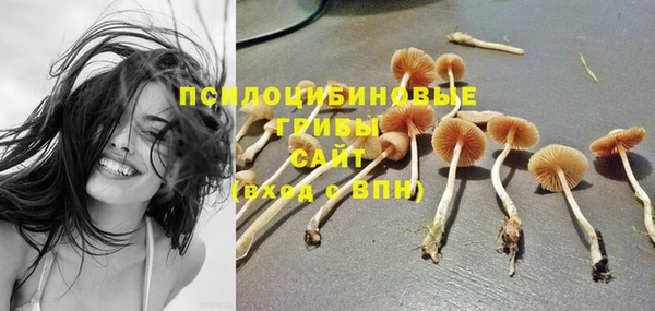 ECSTASY Балахна