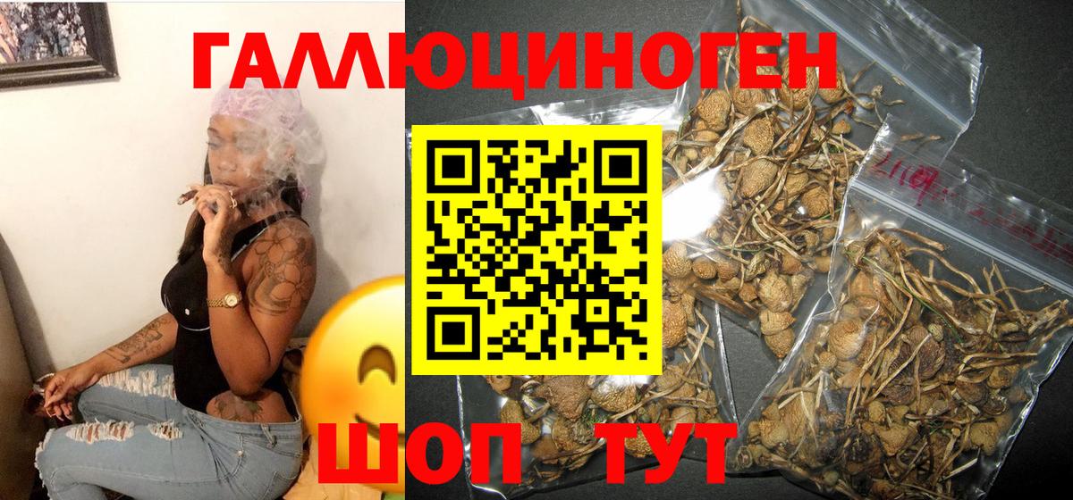 Псилоцибиновые грибы Cubensis Корсаков