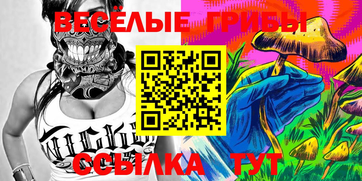 Псилоцибиновые грибы мицелий  Вход с VPN  Корсаков 
